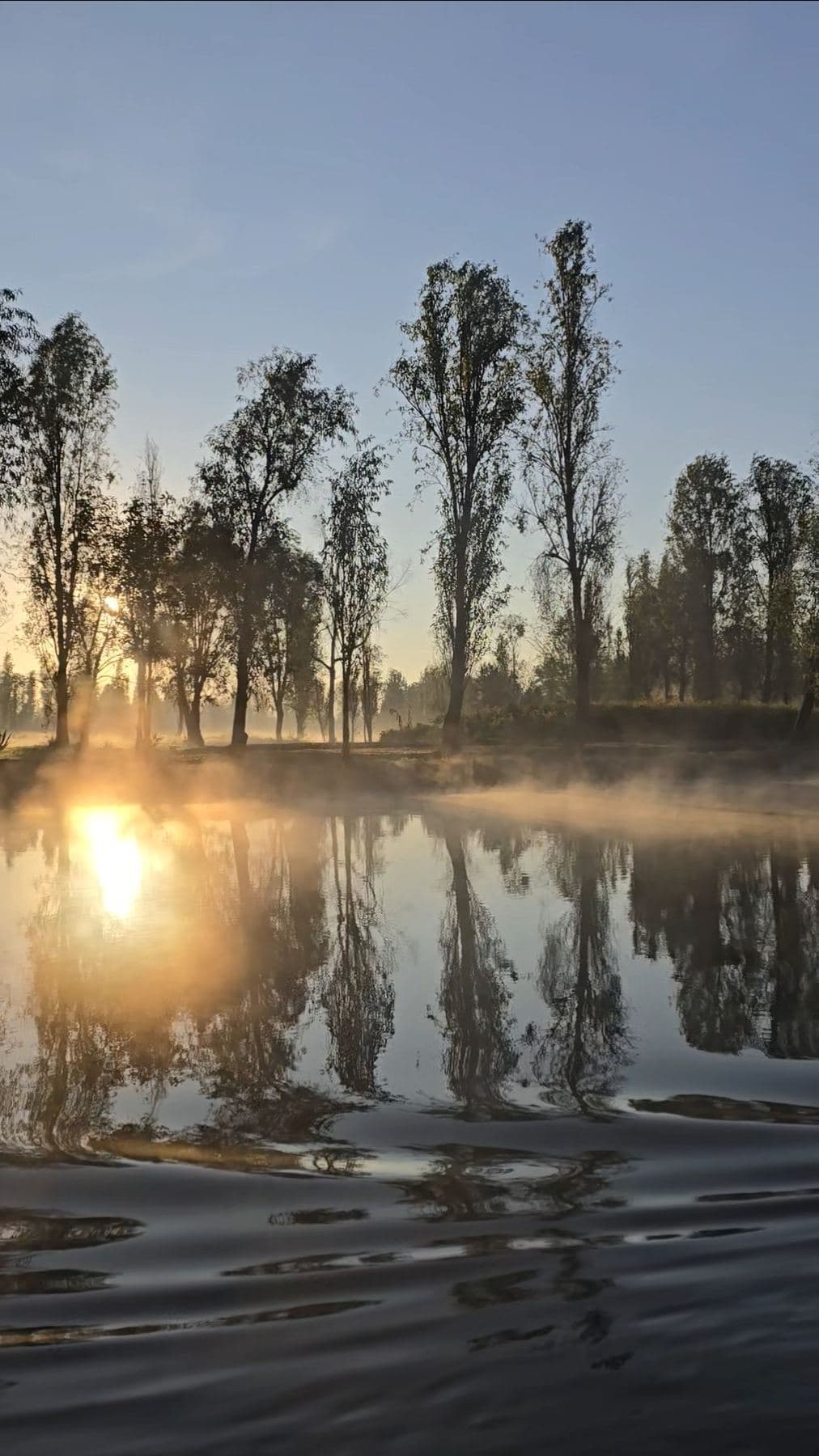 Sol entre la niebla y los ahuejotes reflejados en el canal