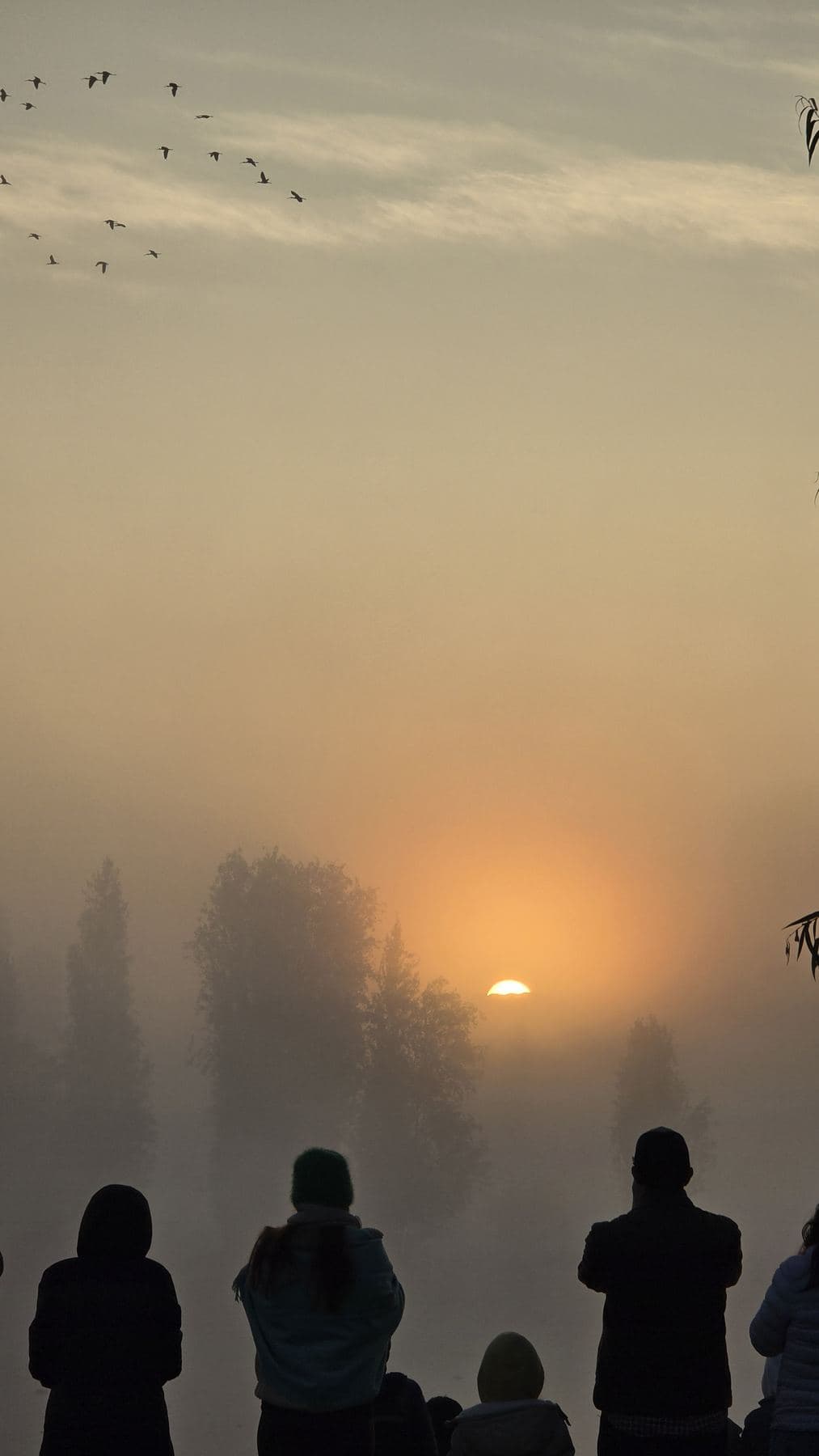 Siluetas de personas contemplan la salida del sol entre la niebla