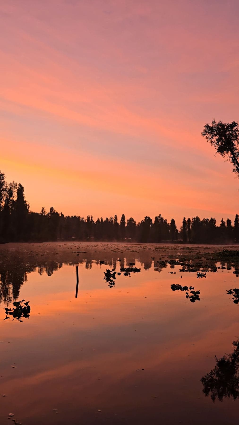 Lago en calma bajo un cielo rosado al amanecer