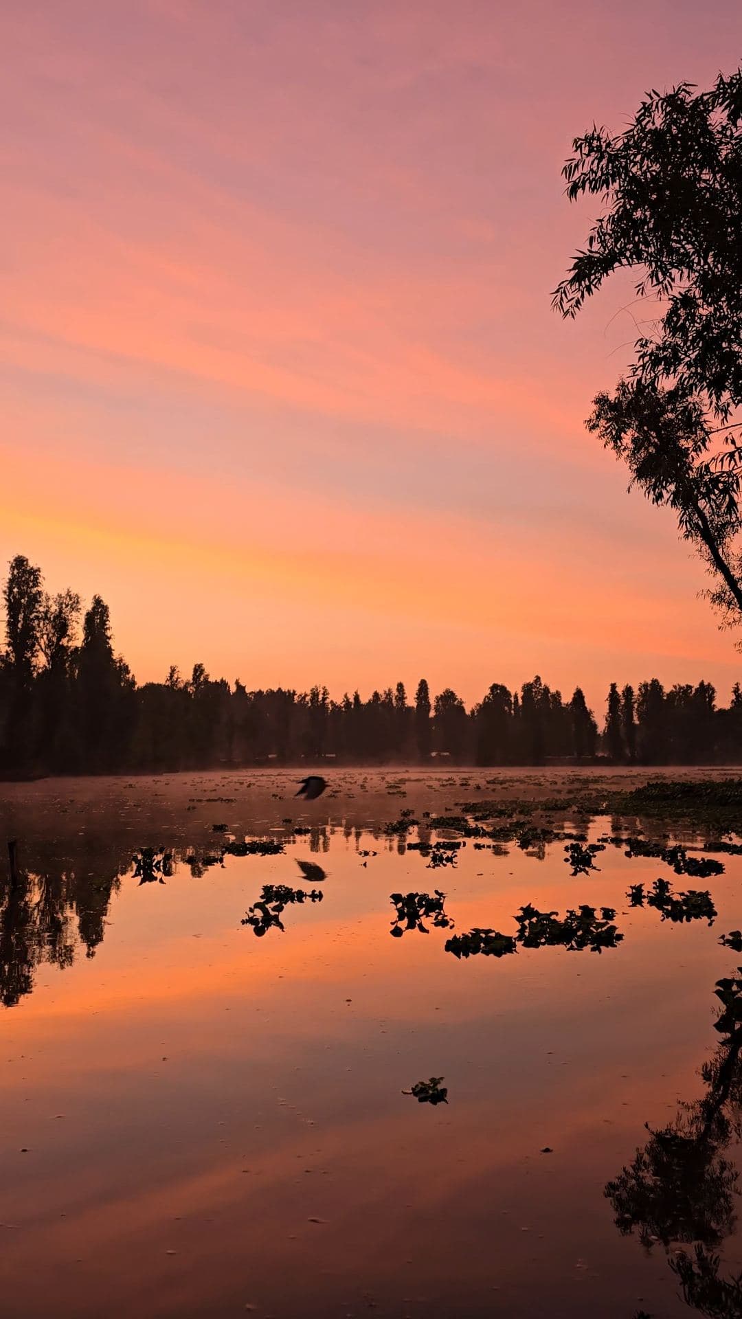 Amanecer naranja reflejado en el lago