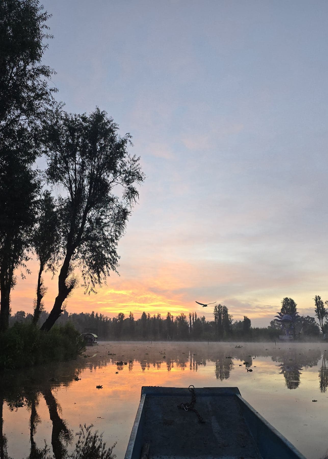 Amanecer visto desde la proa de una embarcación