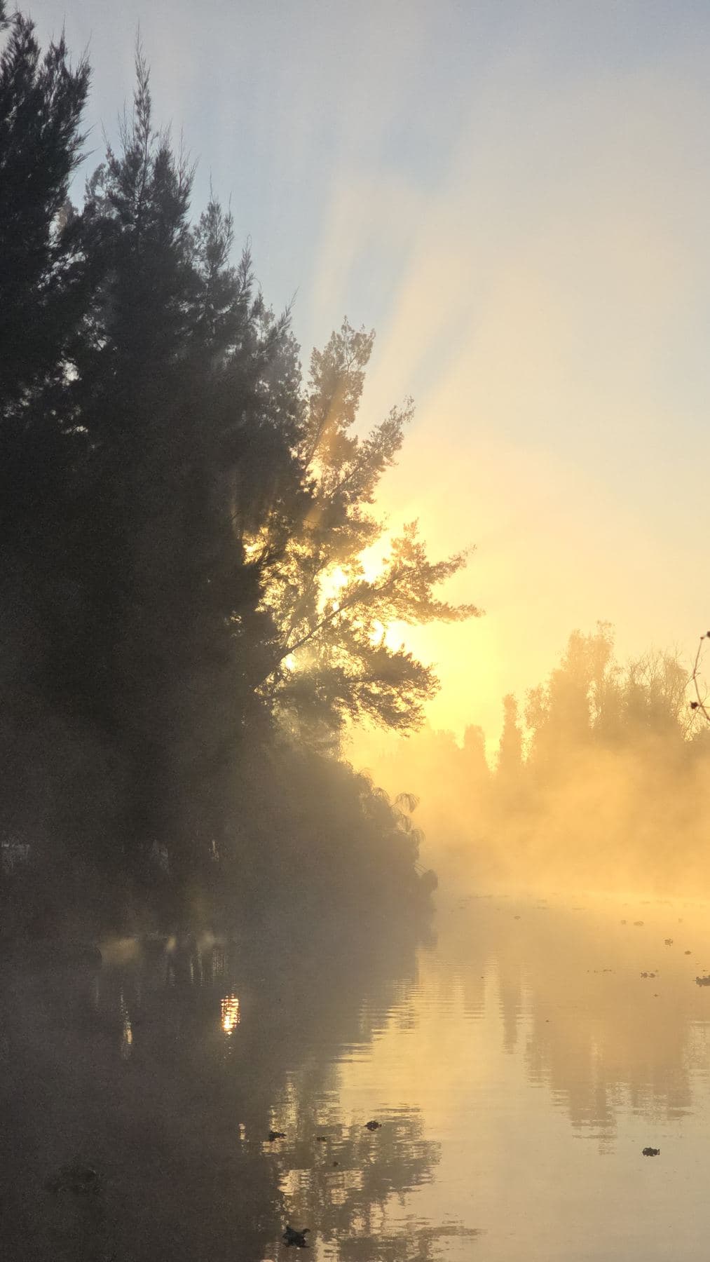 Rayos de sol atraviesan la niebla sobre un canal al amanecer