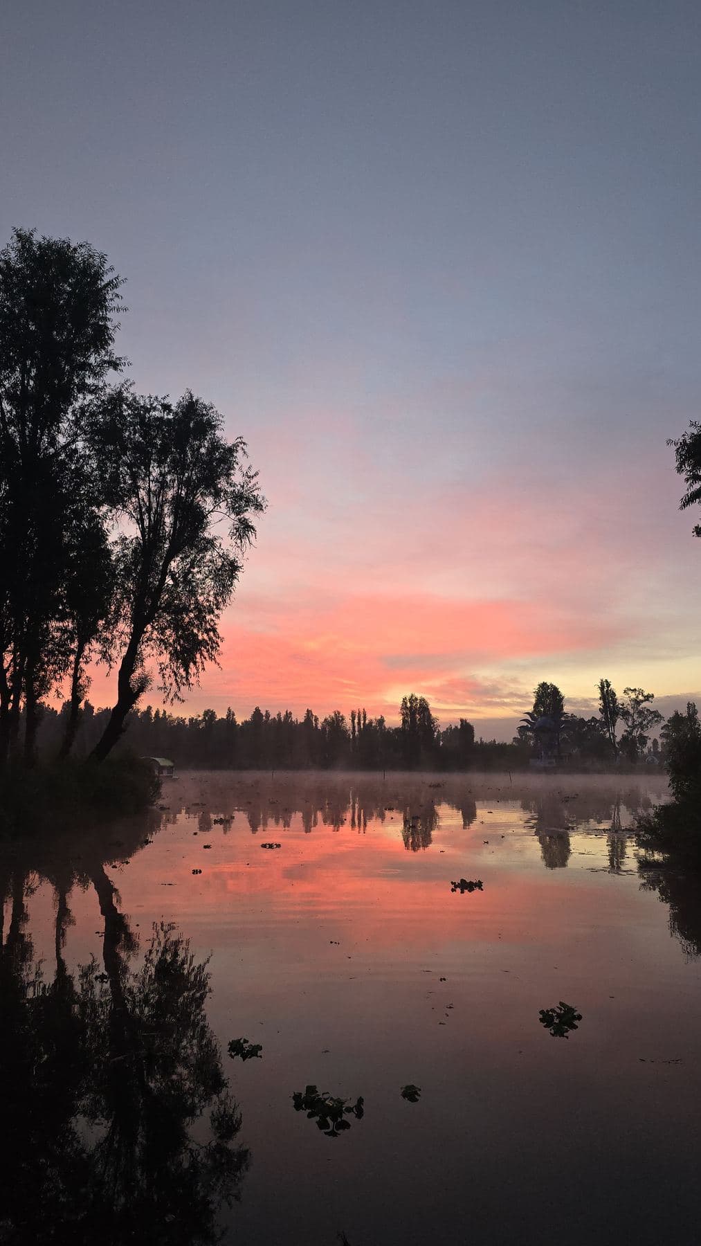 Cielo rosado del amanecer reflejado en el lago