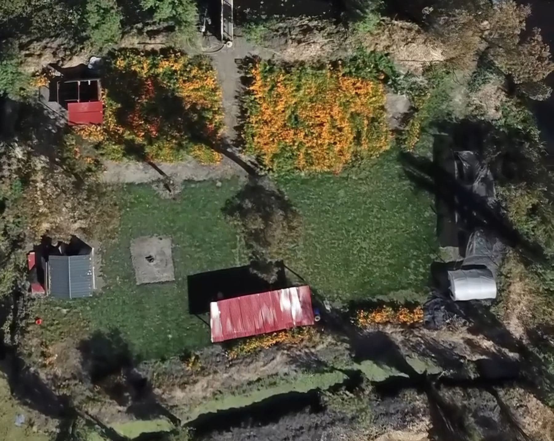 Vista aérea de una chinampa con huertos y cempasúchil