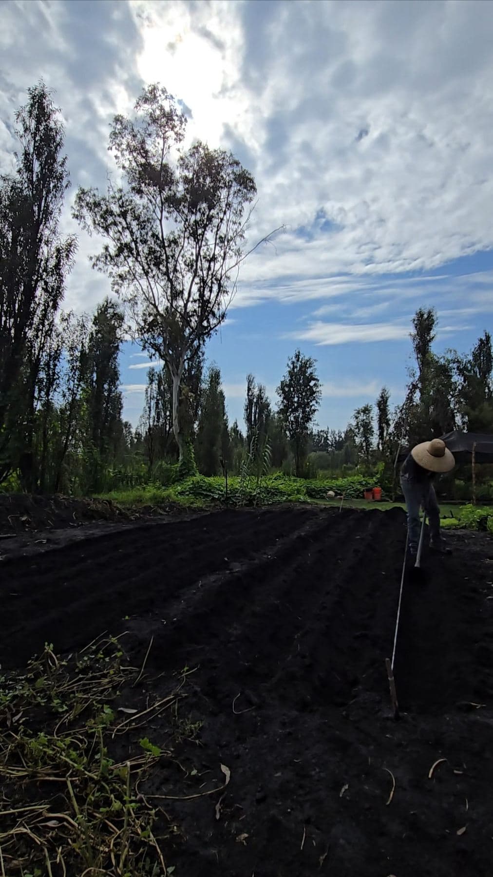 Chinampa recién labrada bajo un cielo nublado