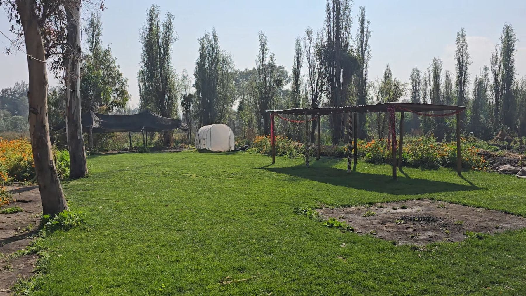 Jardín y espacio techado en la chinampa