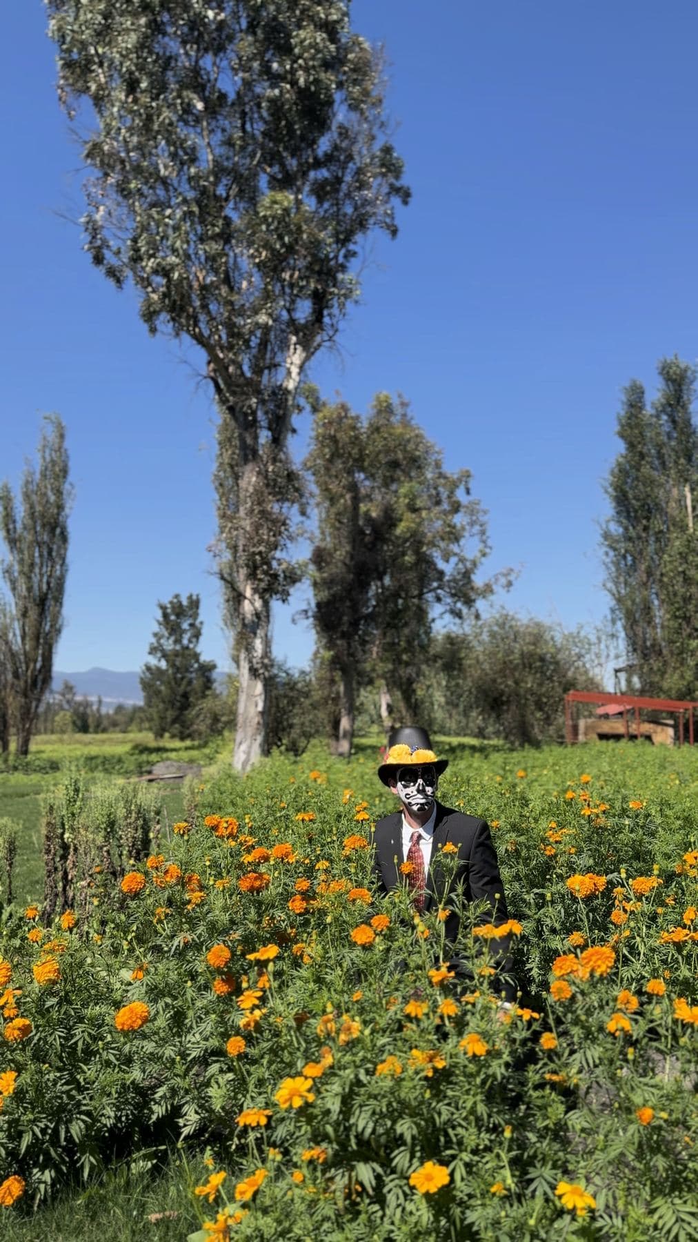 Catrina de pie en un campo de cempasúchil