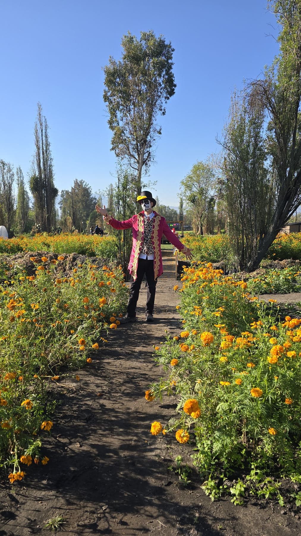 Catrina camina por un sendero entre cempasúchil