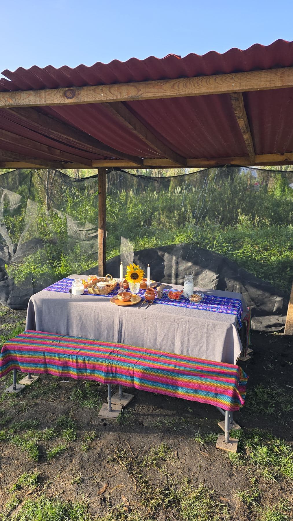 Mesa preparada bajo techo en la chinampa
