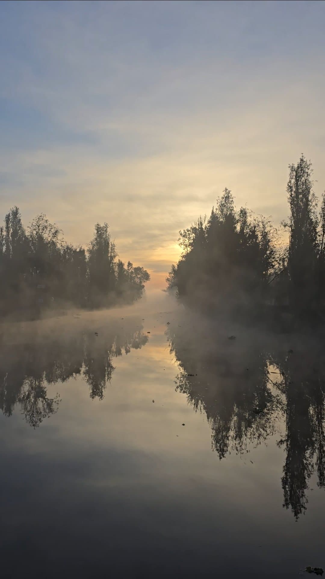 Amanecer con niebla sobre un canal de Xochimilco y ahuejotes reflejados en el agua