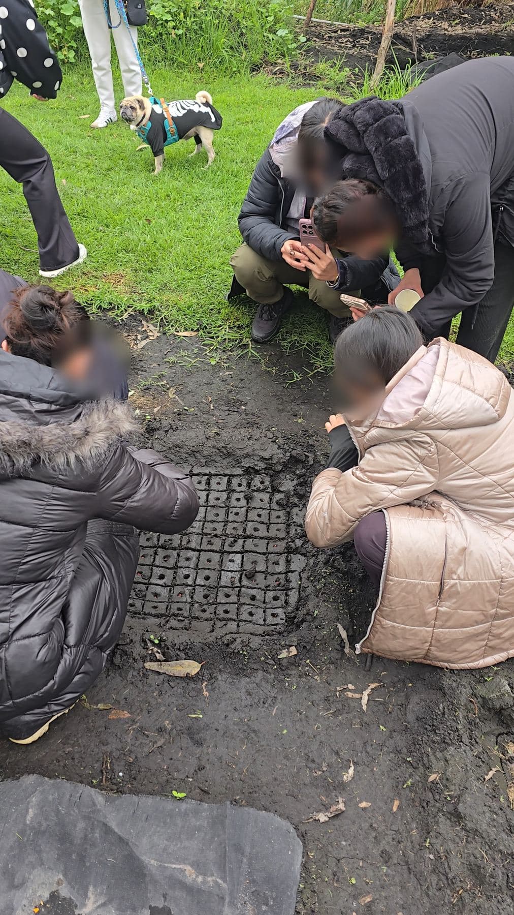 Grupo de visitantes siembra semillas en los chapines de la chinampa; rostros difuminados