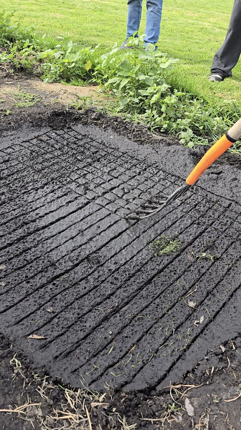 Siembra en chapines, los almácigos de lodo de la chinampa