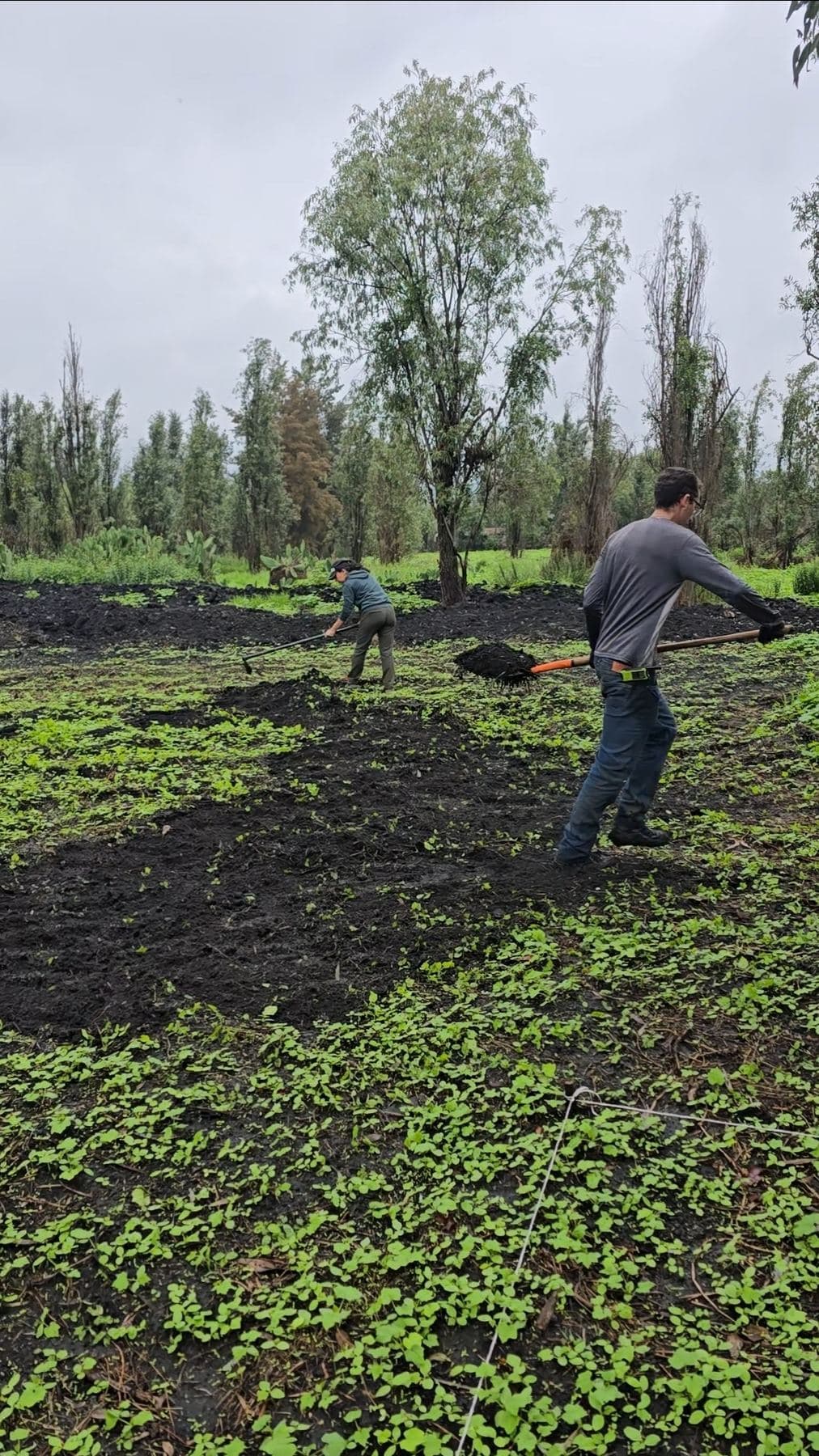 Persona trabajando la tierra en una chinampa