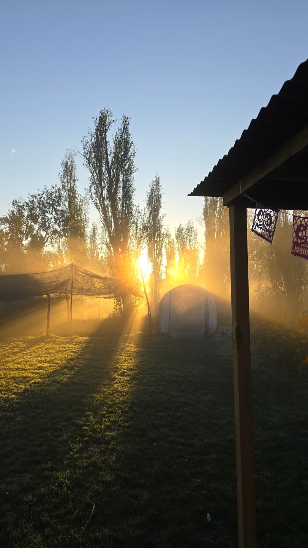 La chinampa al amanecer