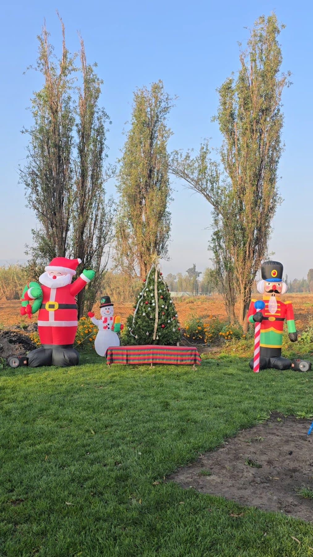 Navidad en la chinampa